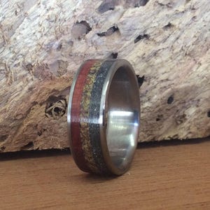 Meteorite Ring - Titanium with Dinosaur Bone and Ironwood Inlays image 4