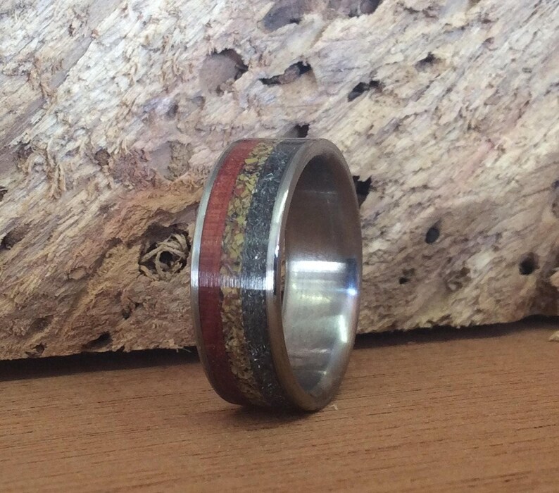 Meteorite Ring - Titanium with Dinosaur Bone and Ironwood Inlays image 4