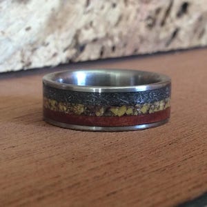 Meteorite Ring - Titanium with Dinosaur Bone and Ironwood Inlays image 3