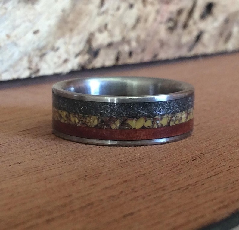 Meteorite Ring - Titanium with Dinosaur Bone and Ironwood Inlays image 3