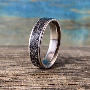 Meteorite Ring - Titanium Wedding Ring with Gibeon Meteorite Inlay - Men's Wedding Band