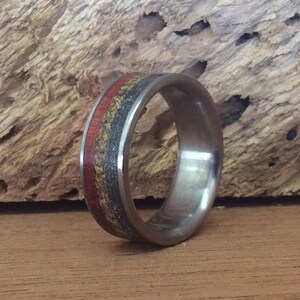Meteorite Ring - Titanium with Dinosaur Bone and Ironwood Inlays image 2