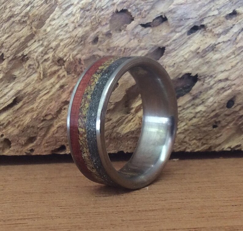 Meteorite Ring - Titanium with Dinosaur Bone and Ironwood Inlays image 2