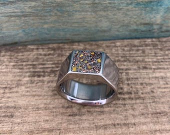 Men's Signet Ring - Titanium Band with Gibeon Meteorite and Dinosaur Bone
