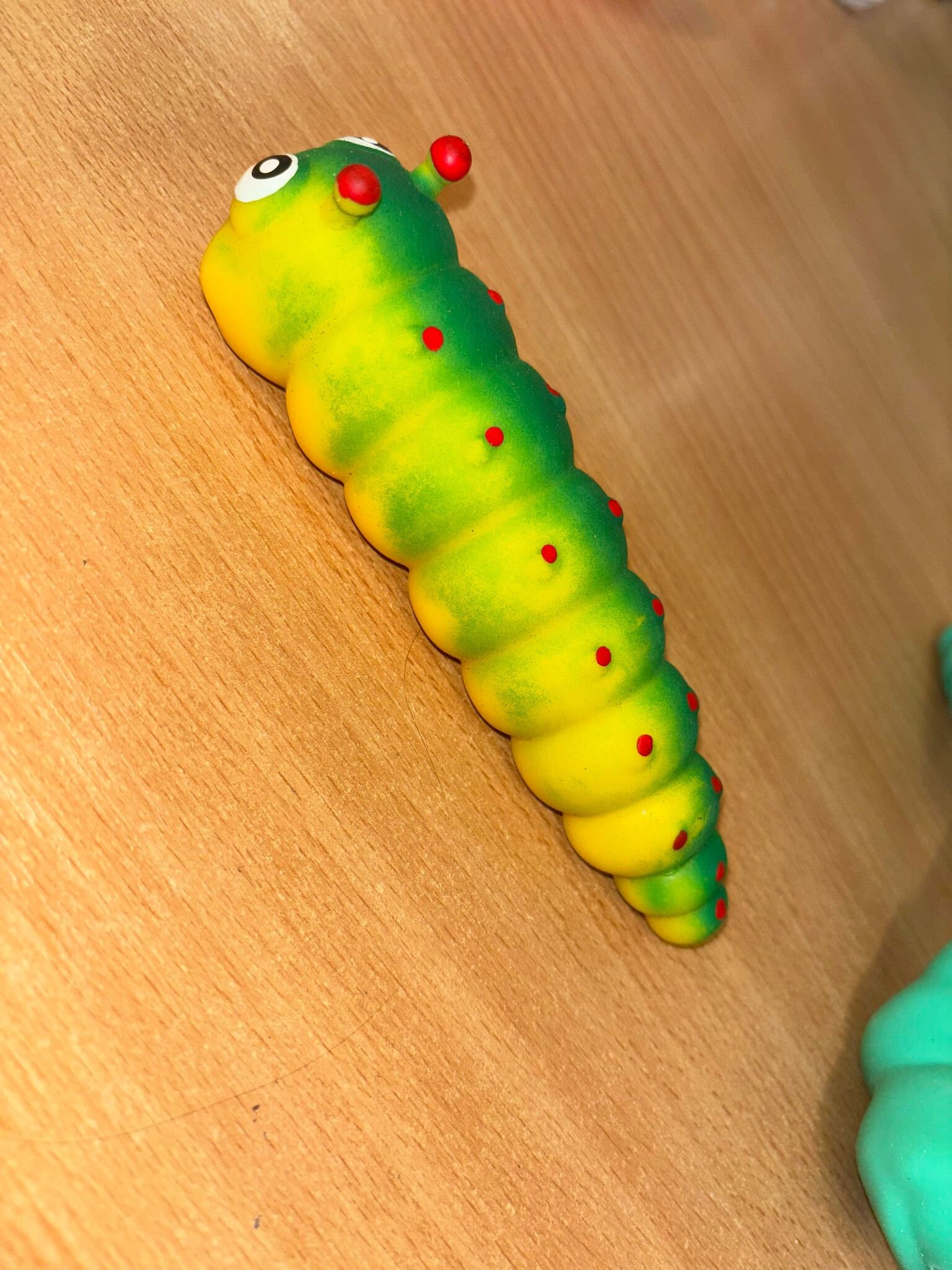 vibrating caterpillar toy Lay Panty Vibrator – Dame Products