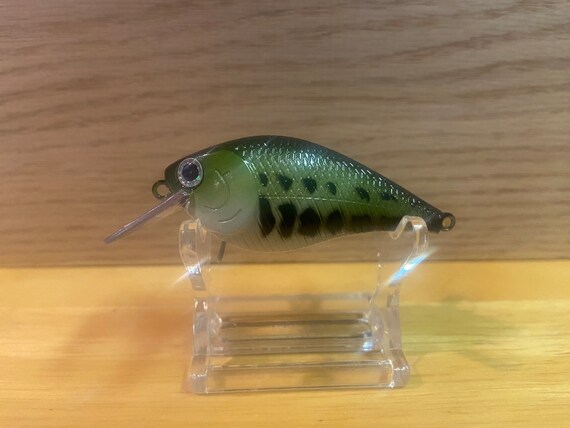 bass lur Top Water Lure Bundle I Best Bass Lure: Best Bass