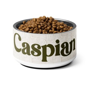 Può includere: Scodella per animali domestici in ceramica bianca con un motivo geometrico e il nome "Caspian" in lettere verdi. La ciotola è piena di cibo per cani marrone.