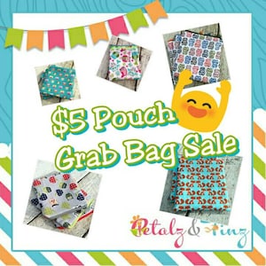 Sale zipper pouch random selection, surprise pouch. Grab Bag style sale. Great gift idea. image 1