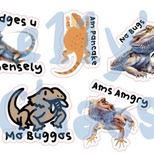 Bearded Dragon Stickers