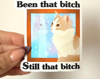 Been That Bitch Still That Bitch Cat Sticker, Sassy Vinyl Decal for Laptop, Water Bottle & Journals, Aesthetic Kawaii Cute Kitty Sticker
