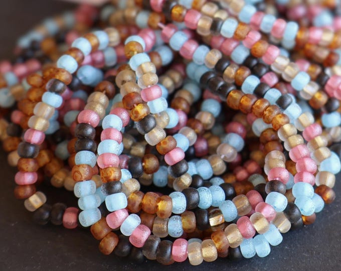 Painted Canyon  Multi Color Picasso Seed Bead Mix Size 6/0