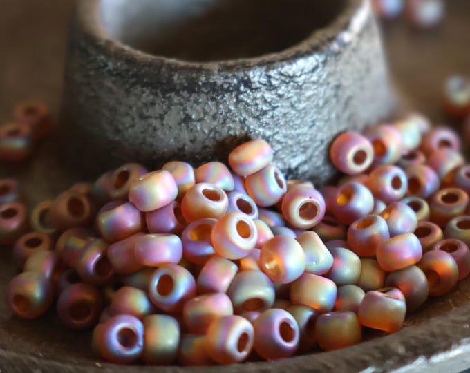 100 Toho Seed Beads 6/0 - Transparent Rainbow Frosted Smoky Topaz BX 7 - 12