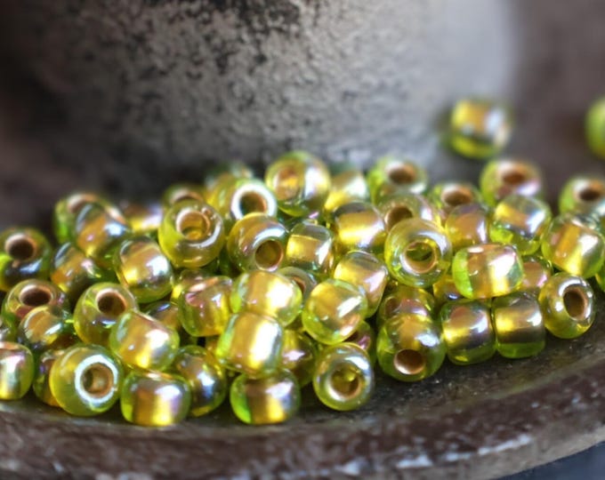 100 6/0 Toho Japanese Seed Beads - Gold Lined Rainbow Peridot (BX 5 - 24)