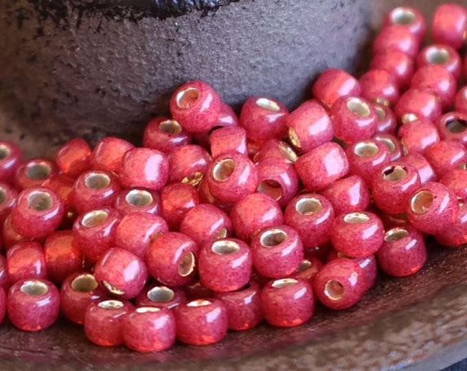 100 - Silver Lined Milky Pomegranate - Toho Seed Beads 6/0 (BX 5 - 24)