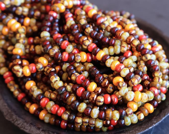 Red Rock Harvest Luster Czech Picasso Aged Multi Color Matte Assortment Seed Bead Mix Size 5/0