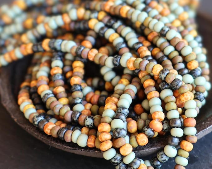 Czech Picasso Seed Bead Mix – Twilight Canyon Multi-Color 6/0 3 - 4mm