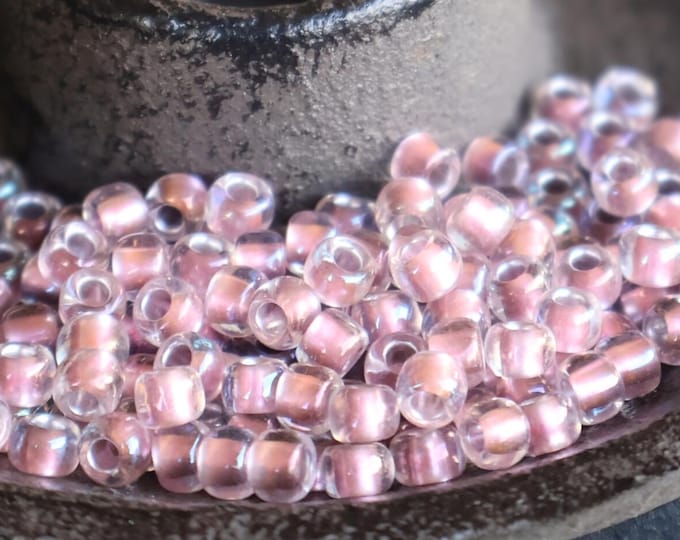100 Toho Seed Bead -  Crystal Wild Rose 6/0 Seed Beads (12-9)