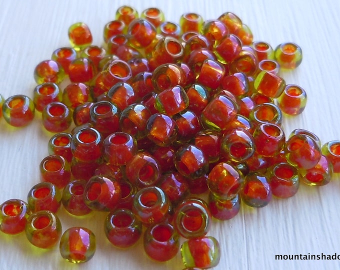 100 Jonquil Hyacinth Lined 6/0 Toho Seed Beads (BX 12 - 7)