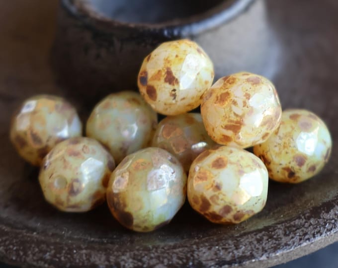 10mm Firepolished Faceted Round Beads Milky Beige Bronze Picasso Czech Glass Beads BX 7 - 11