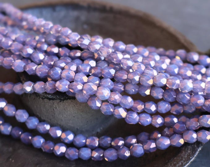 Violet Fog 4mm Czech Beads -  Firepolished Faceted 50 pcs (BX 8 - 26)