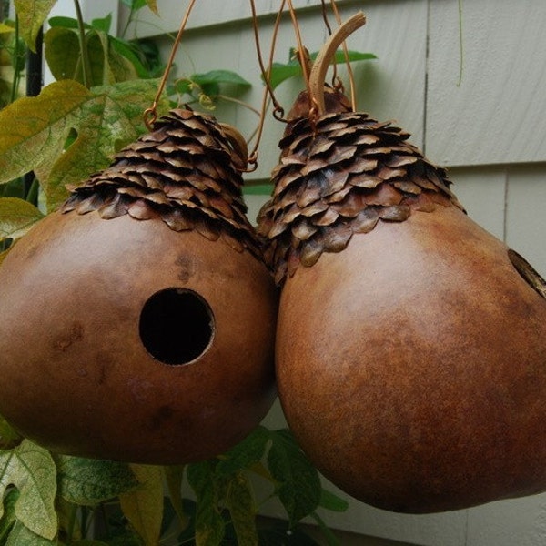 Natural Birdhouse Gourd with Pinecone Petal Roof