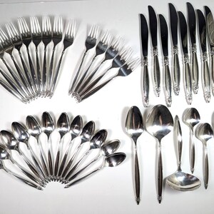 May include: A large set of silver-toned stainless steel flatware including numerous forks, knives, and spoons arranged in fan-like patterns. The collection features a variety of dinner forks, salad forks, dinner knives, soup spoons, and a ladle.