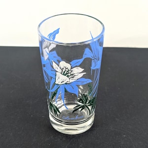 Ein Vintage Boscul Erdnussbuttersaftglas - kleiner bedruckter Becher - blau weiß grüne Akelei Blume Floral