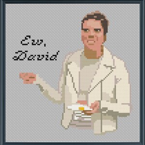 May include: Cross-stitch pattern featuring a man in a white jacket with the text "Ew, David!"