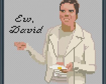 Ew, David! Alexis Rose (Smaller Size) - Schitt's Creek - PDF Cross Stitch Pattern Download