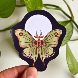 Autocollants papillon lunaire