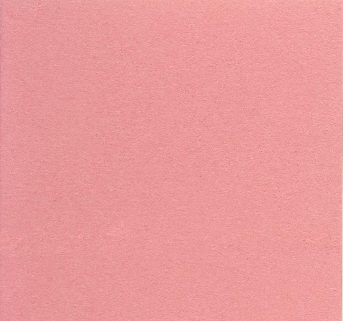 Paper Source Cardstock Blossom 10 Sheets of 8.5 X Etsy