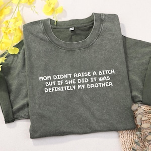 Mom Didn&#39;t Raise A Bitch But If She Did It Was Definitely My Brother Shirt, Funny Sibling Shirt, Mom Memes Sarcasm Shirt,Sibling Shirt