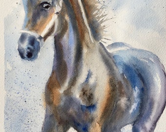 Friesian Yearling/ Giclee Watercolor/8 "x 10"