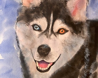 Siberian Husky/ Giclee Watercolor/8 "x 10"