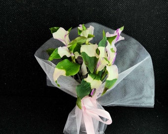 Tradescantia Blushing Bride Cuttings or Rooted Plants