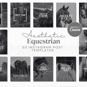 Modèle de publication Instagram équestre sur les réseaux sociaux pour chevaux Modèle personnalisable de marque équestre Créateur de contenu équestre Modèle Horse Canva