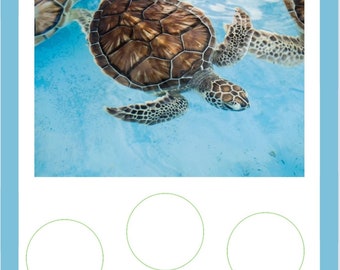 Rolle die Schildkröte