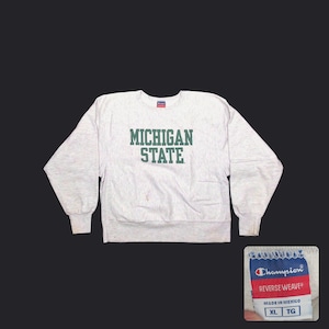 Vintage Michigan State Champion - Etsy