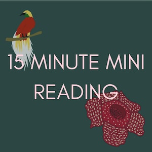 15 minuters miniläsning