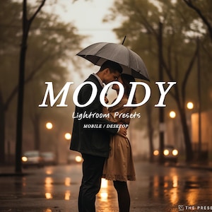 MOODY lightroom presets, Lifestyle Blogger Filters, Warm Preset, Boho Preset, Cozy Instagram Filter, Golden Preset, Golden Hour Preset