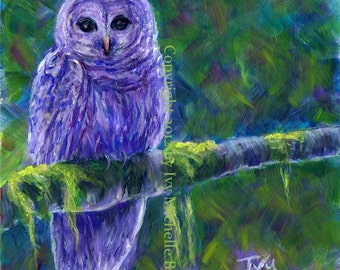 Purple Barred Owl, Art Print of Acrylic Bird Painting, ~8" x 8"