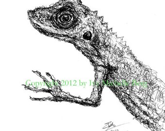 Green Crested Lizard, Original Ink Illustration