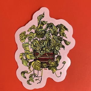観葉植物用ステッカー - 耐候性