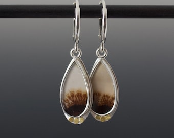 Dendritic Picture Agate Cabochon Bezel Set Drop Earrings in Sterling Bezel Setting with Leverbacks and 22K Gold Accents