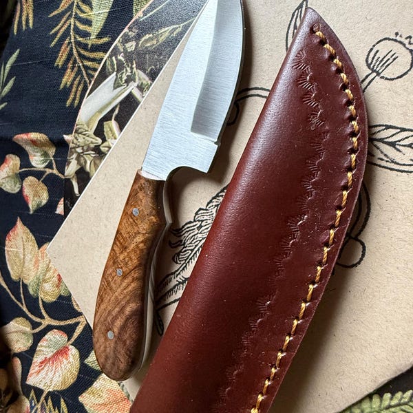 COUTEAU À HERBES Boline avec gaine de ceinture outil d'herboristerie pour cueillette d'herbes lame avec manche en bois