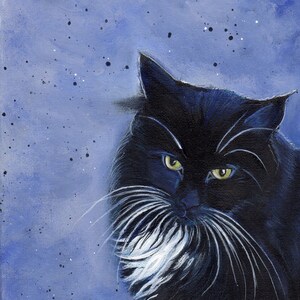 Original Cat Tuxedo "fiona" Cat Portrait 11x14 Acrylic on Canvas by ...