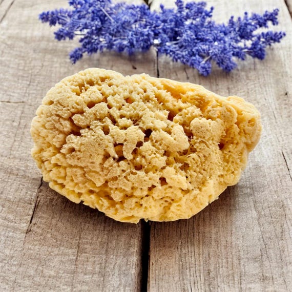 Sponge Natural Bath Sea Sponge Luxury Sponge