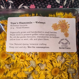 Kalwayi Golden Chamomile | Dried Dye Flowers | For Natural Dyeing Yarn, Wool & Fabric | Organically Grown In BC | Anthemis tinctoria | Craft