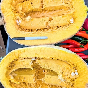 May include: A halved, yellow pumpkin showing the inner flesh and seeds. A blue and black marker is placed on the pumpkin for scale. Red and green chillies are visible in the background.