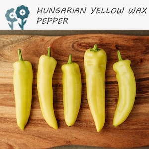 Hungarian Yellow Wax Hot Pepper - 50 Seeds - Vegetable Seeds, Non-GMO, Heirloom, Spicy, Culinary, Seed Packets